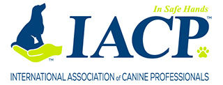 IACP